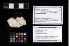 Foto (Objekt + Etikett) von Crustacea indet.  (NHMW-GEO-2014-0194-1008)